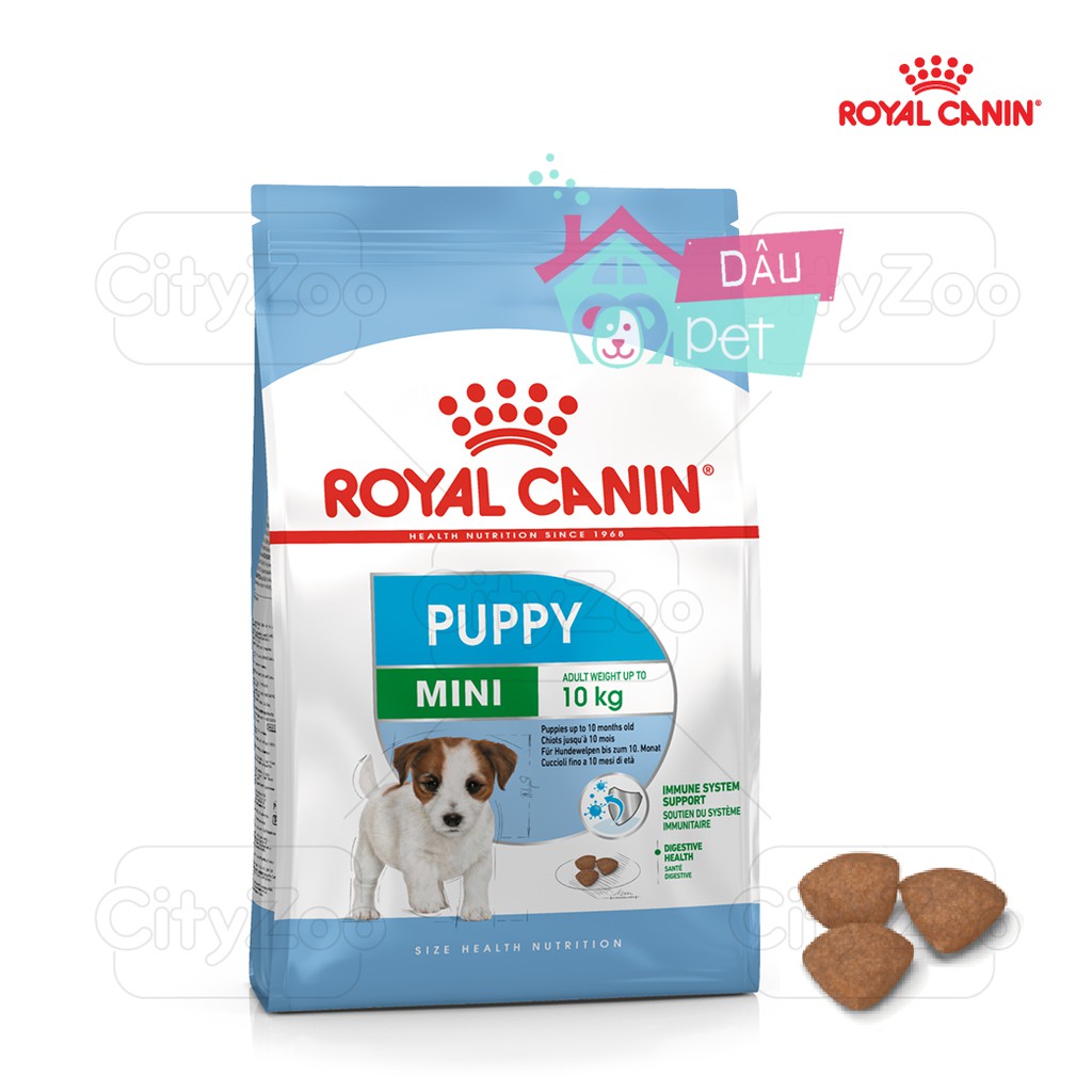 Thức ăn hạt khô cho chó Royal Canin Mini Puppy 2kg