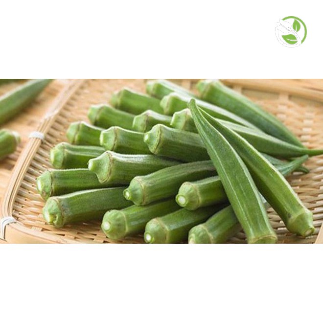Hạt Giống Đậu Bắp Năm Cạnh Trái Trắng Cây Lùn Phú Nông - Gói 10g - Okra