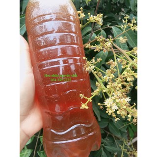1 Lít Mật Ong Hoa Nhãn Nguyên Chất 100% Đủ 1.4 kg