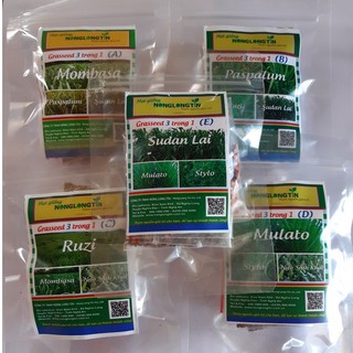 Giống cỏ - Combo các loại giống - hạt giống