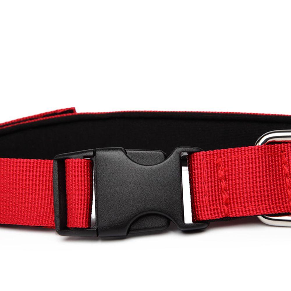 Vòng Cổ Nylon Nhiều Màu Sắc Dành Cho Thú Cưng Cỡ Vừa Và Lớn