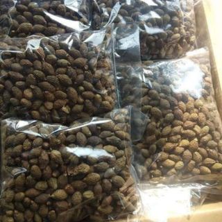 1kg Quả ươi rừng (ươi bay)