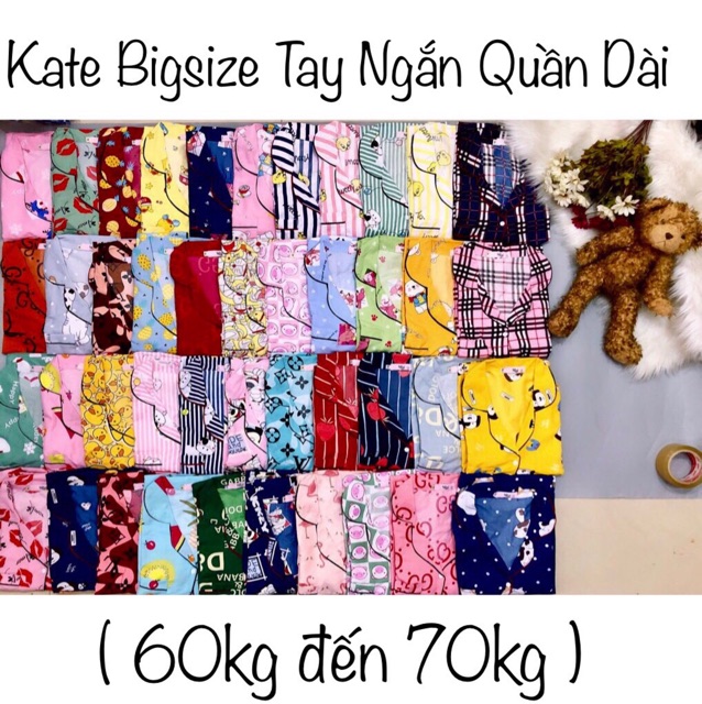 ( Bigsize Kate ) Đồ Bộ Kate Pijama Bigsize -Tay Ngắn Quần Dài ( Part 3 ) | BigBuy360 - bigbuy360.vn