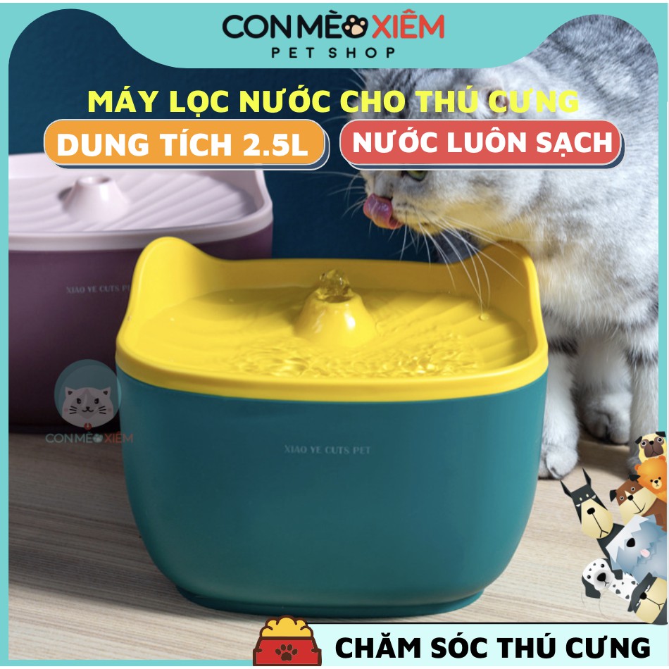 Máy lọc nước cho chó mèo Pet water dispenser tự động 2,5L, đài phun nước cho cún mèo thông minh Con Mèo Xiêm