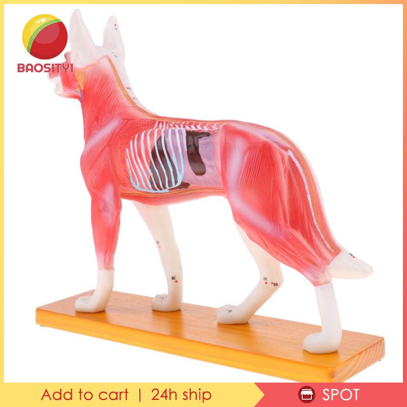 Bộ Dụng Cụ Học Tập Cho Cún Cưng [Baosity] [Baosity]