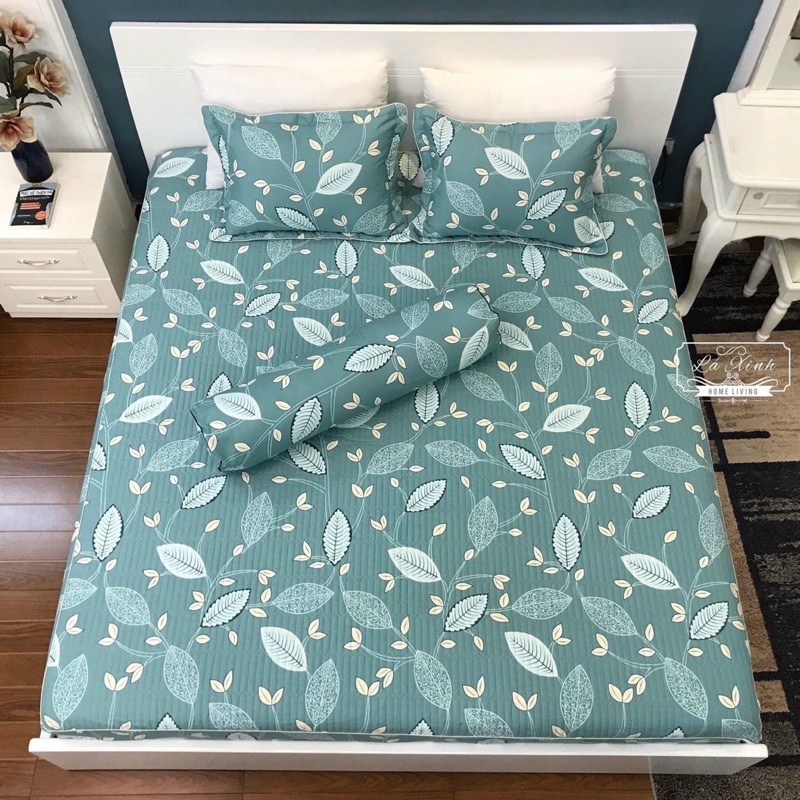 Bộ Ga Chun Trần Cotton Hàn Quốc Trần Bông Kèm 2 Vỏ Gối m6 m8 2m2 nhiều mẫu