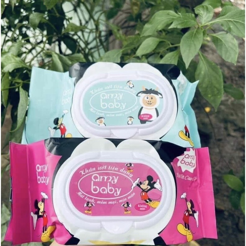 Combo 12 hộp Khăn ướt cao cấp AmyBaby kháng khuẩn (80/hộp)