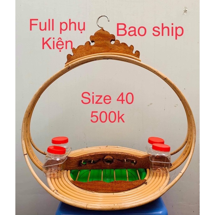 Lồng trần cu gáy size 40