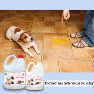 Nước lau sàn