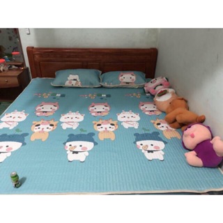 Chiếu điều hoà cao su non 3D