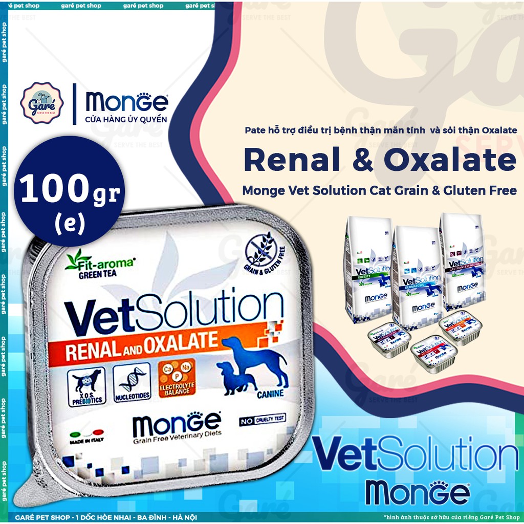 100g - Pate hỗ trợ phục hồi Monge Vet Solution dành cho Mèo - Monge Vet Solution for Cats