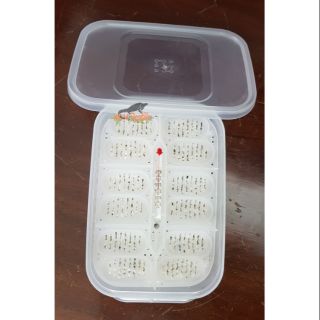 Hộp ấp trứng bò sát 16 ô và 12 ô - kèm nhiệt kế
