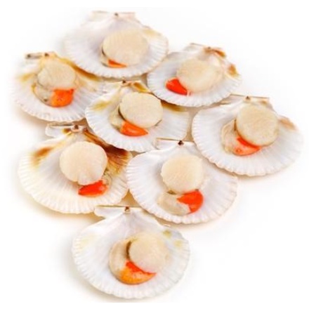 Sò Điệp Nhật Nửa Mảnh Nhập Khẩu