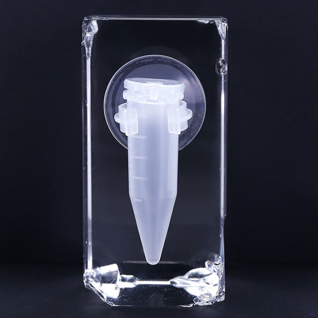 Dụng Cụ Cho Cá Ăn Tự Động Gắn Bể Cá Tiện Dụng