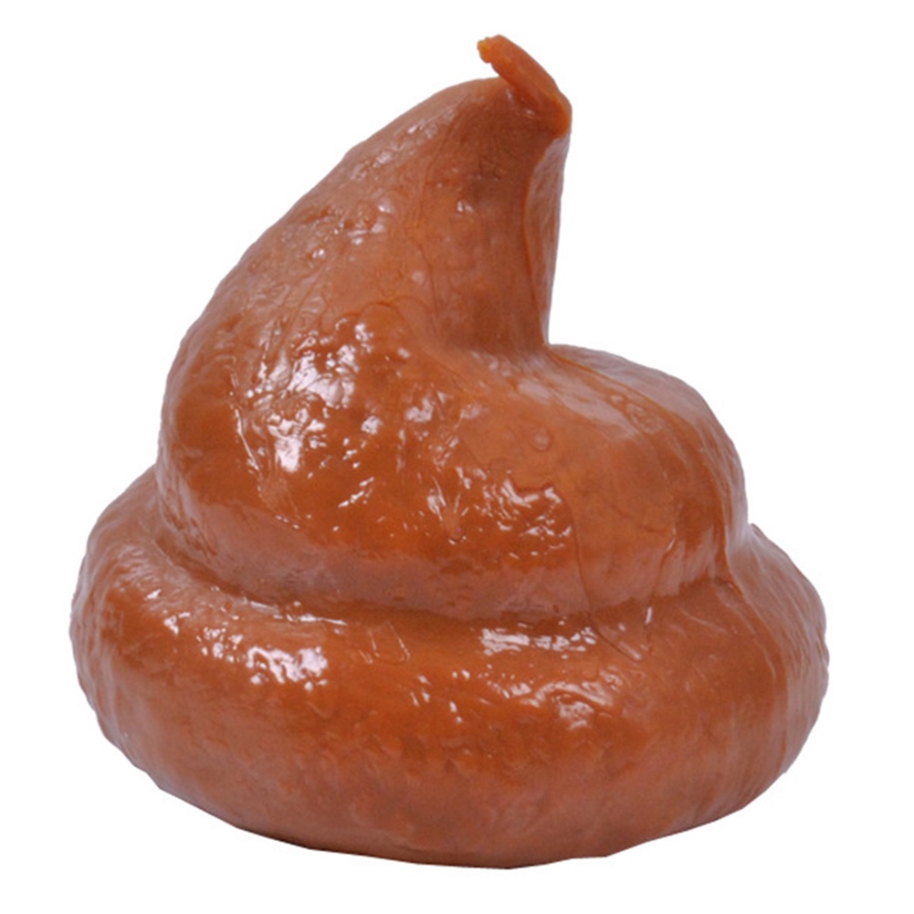 Đồ chơi hình con gián giả vui nhộn.