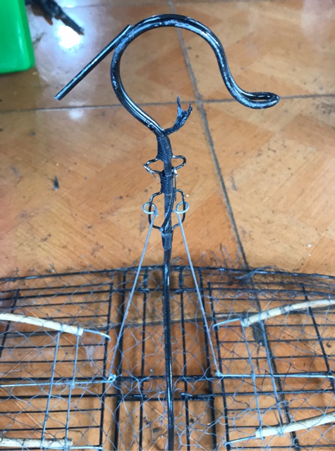 Lụp giả bẫy chim chào mào, choè than