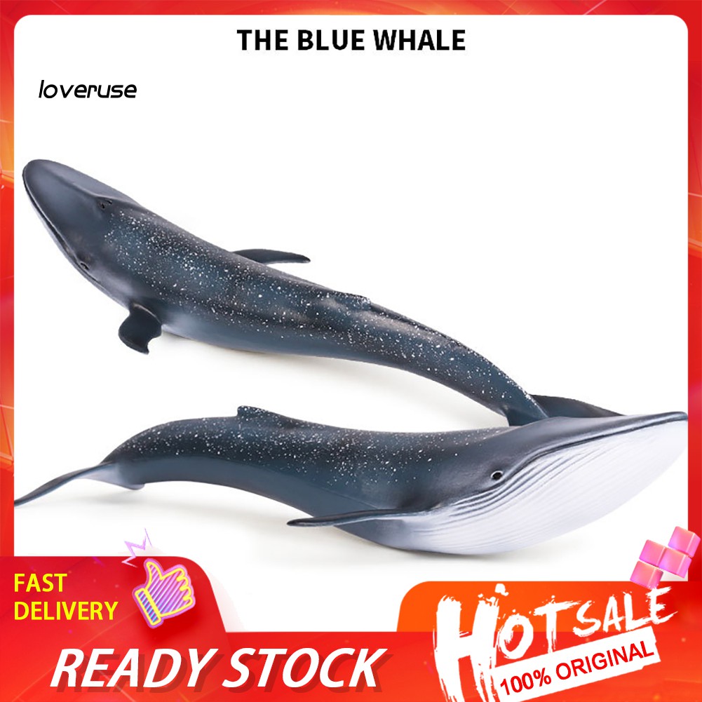 Mô Hình Cá Voi Sinh Động 27cm
