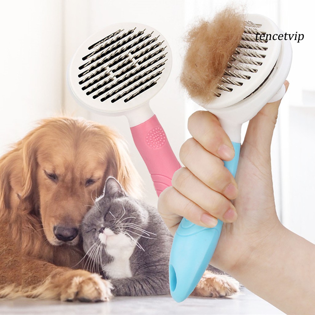 Lược chải lông cho thú cưng