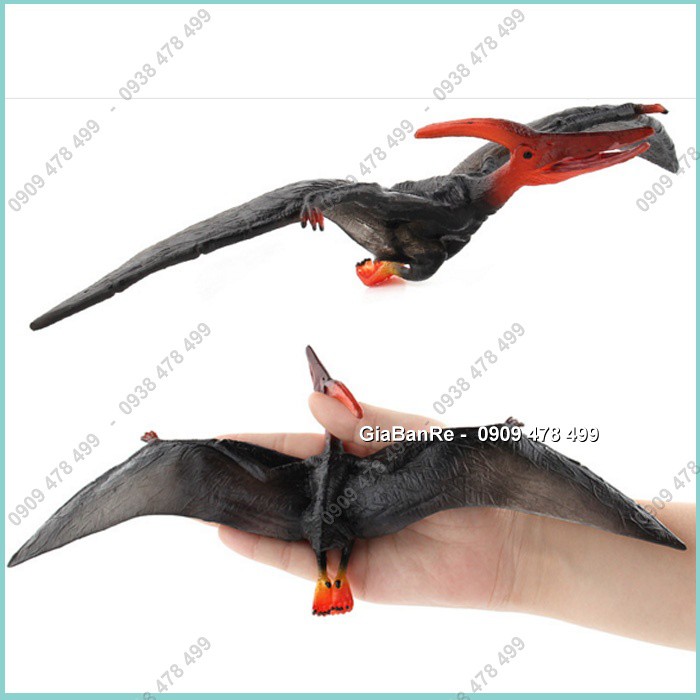 Mô Hình Khủng Long Thằn Lằn Bay Pteranodon - Thân Đen - Sải cánh 23-32cm - 77481