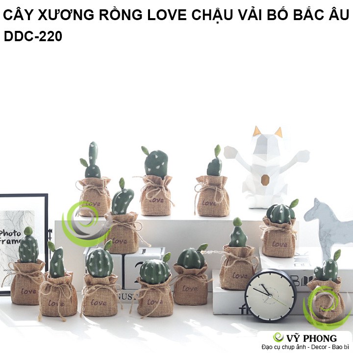 CÂY XƯƠNG RỒNG CHẬU VẢI BỐ CHẬU SEN ĐÁ MÔ PHỎNG NORDIC BẮC ÂU TRANG TRÍ DECOR ĐẠO CỤ CHỤP ẢNH SẢN PHẨM INS DDC-220