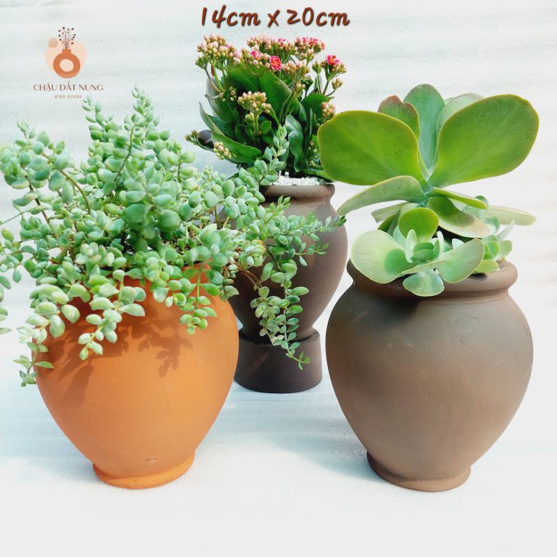 Chậu đất nung, Chậu sen đá - Chum cao, miệng chậu 14cm, chiều cao 20cm