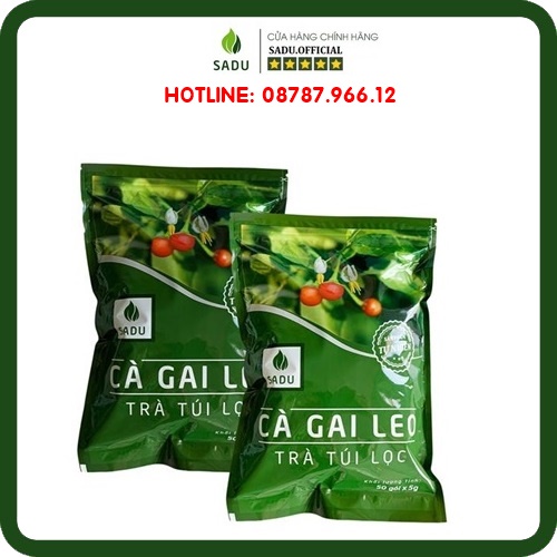 Cà Gai Leo Trà Túi Lọc 250g 500g 1000g Sadu -  - Cách tốt nhất để bảo vệ gan
