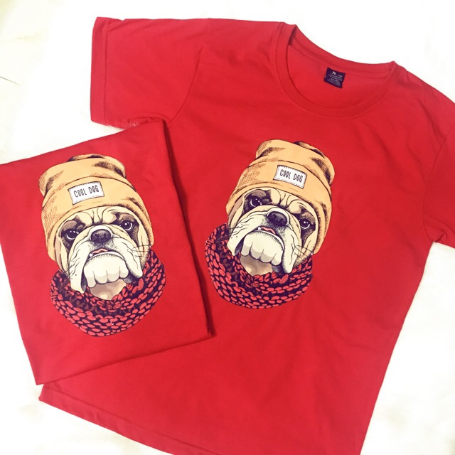 Áo chó pug nón len