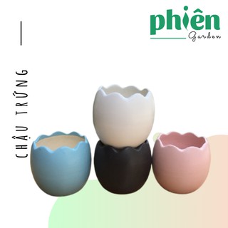 Chậu gốm Trứng, Chậu gốm tráng men Bát Tràng trồng cây mini, cây văn phòng