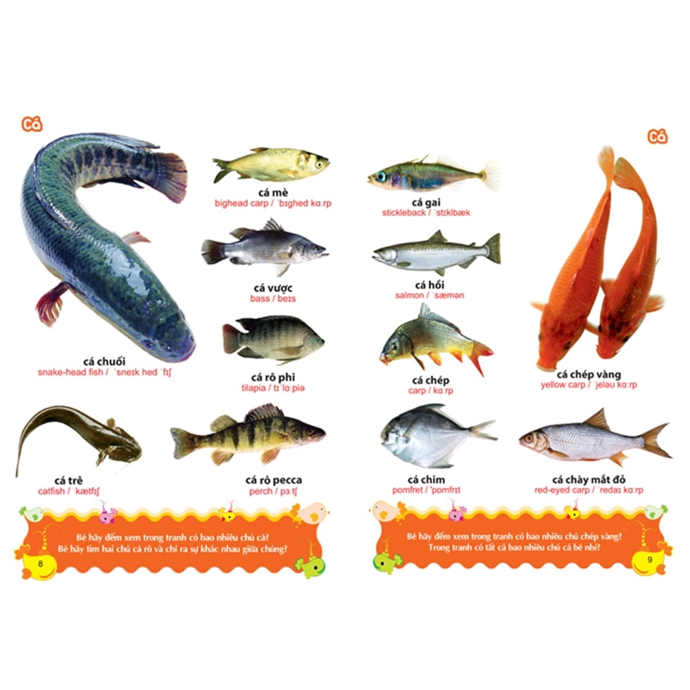 Sách - Từ Điển Tranh Về Các Con Vật