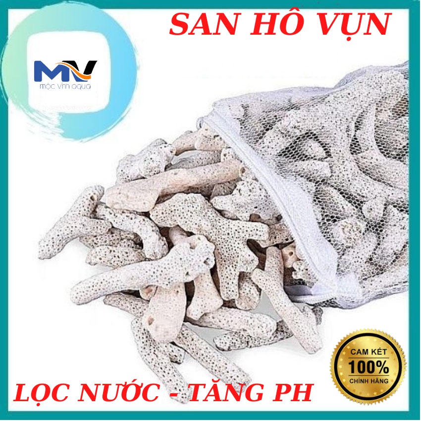 San hô vụn lọc nước 1kg tăng độ PH cho bể cá