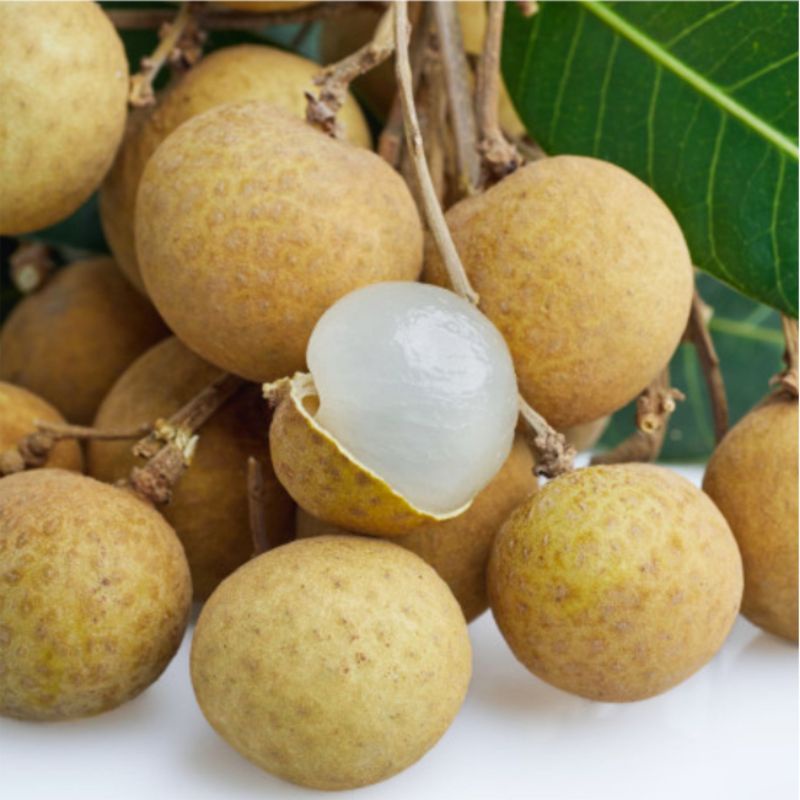 Nhãn Hồng Phúc Siêu Trái
