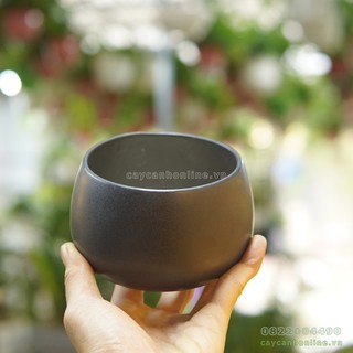 Chậu hạt dẻ gốm sứ trồng cây cảnh mini để bàn sen đá xương rồng