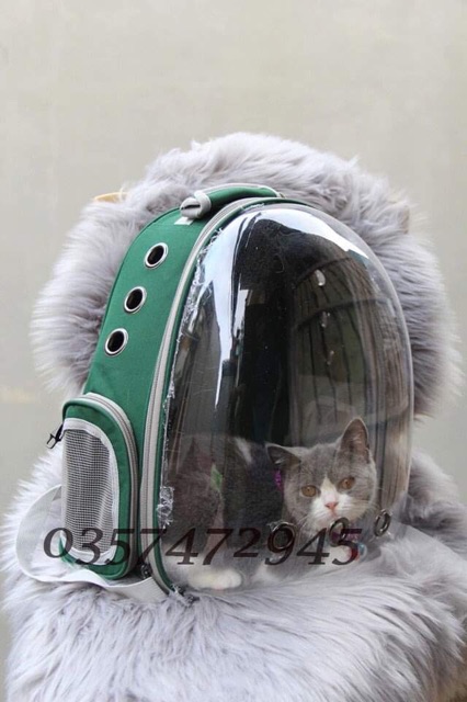 balo phi hành gia cho mèo tặng thảm lót SỈ SLL