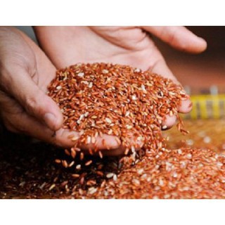 Gạo nứt đỏ điện biên 200gr , đại lý gạo bà tám
