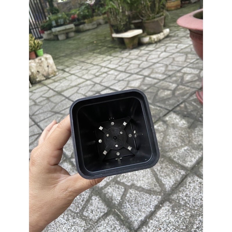 Chậu đen size 9x9cm