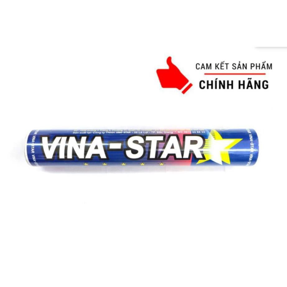 ỐNG CẦU LÔNG VINA STAR (12 quả) - Hàng phân phối chính thức - Sport Huế