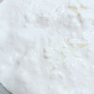 Nấm kefir