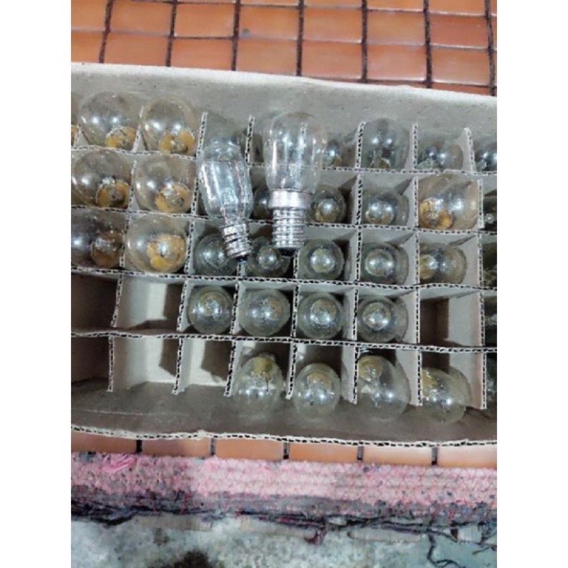 Bóng tủ lạnh đui E12 và E14