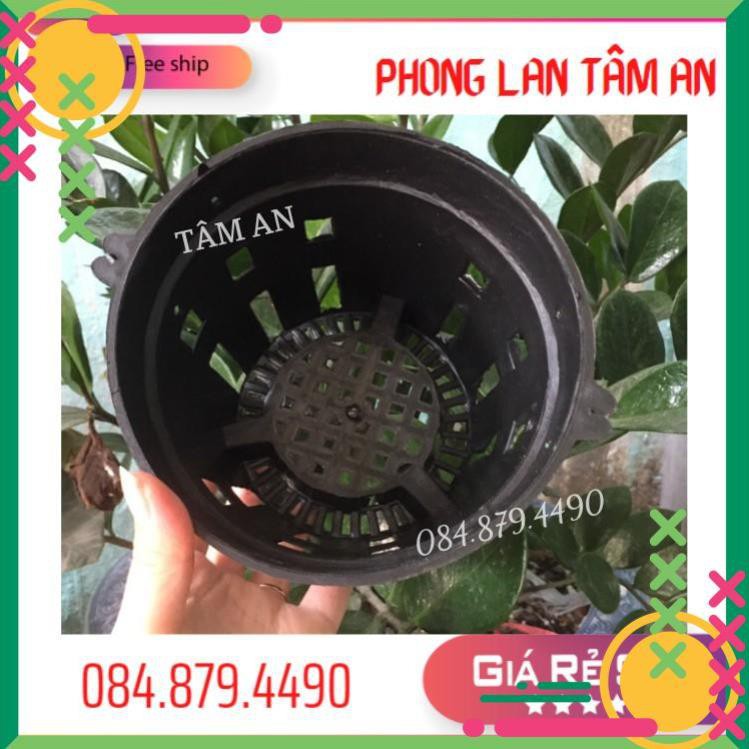 Chậu Nhựa Đen Phi 12-14-16-18-21-23 cm Trồng Hoa Lan, Cây Cảnh