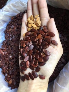 Hạt dưa rang củi 500gr - luôn về date moi