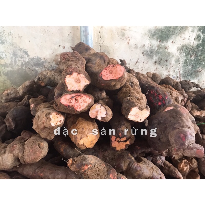 Hà Thủ Ô Đỏ Khô Đã Sơ Chế  - Giúp Đe.n Tóc Đẹp Da - ĐSR