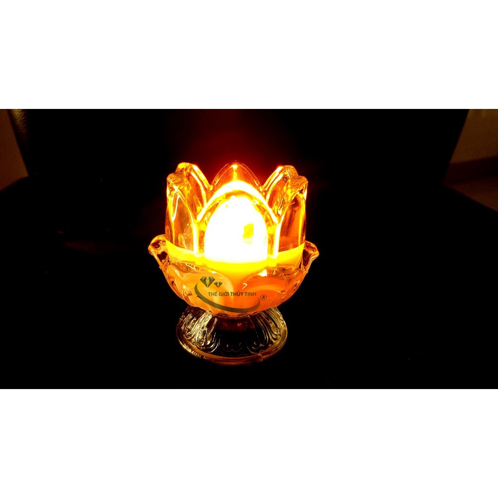 LY THỦY TINH ĐỰNG NẾN SEN NỞ