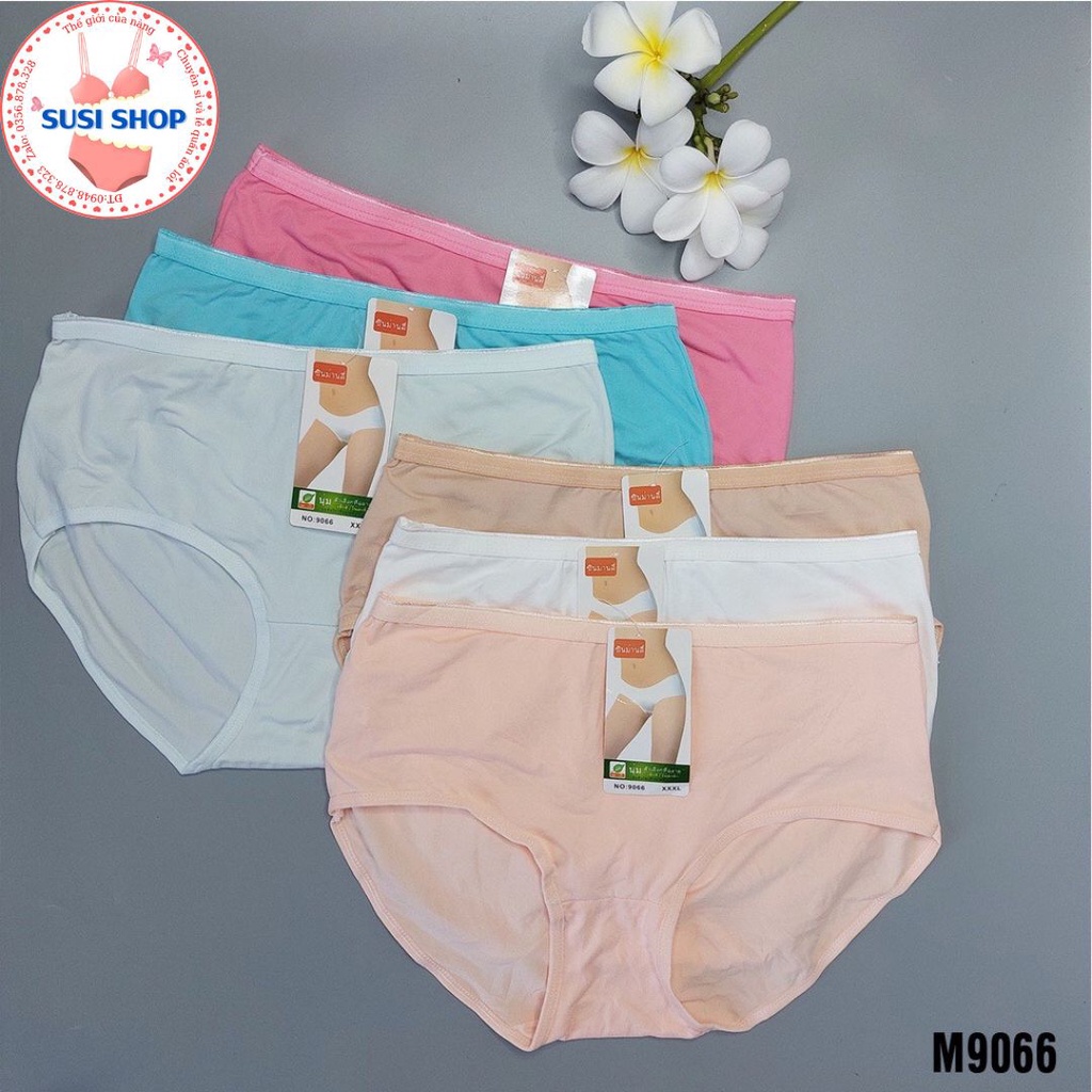 Combo 05 quần lót, quần chíp Nữ cotton Bigsize 60-90kg cạp cao trơn mềm mịn co dãn 4 chiều mặc siêu êm.
