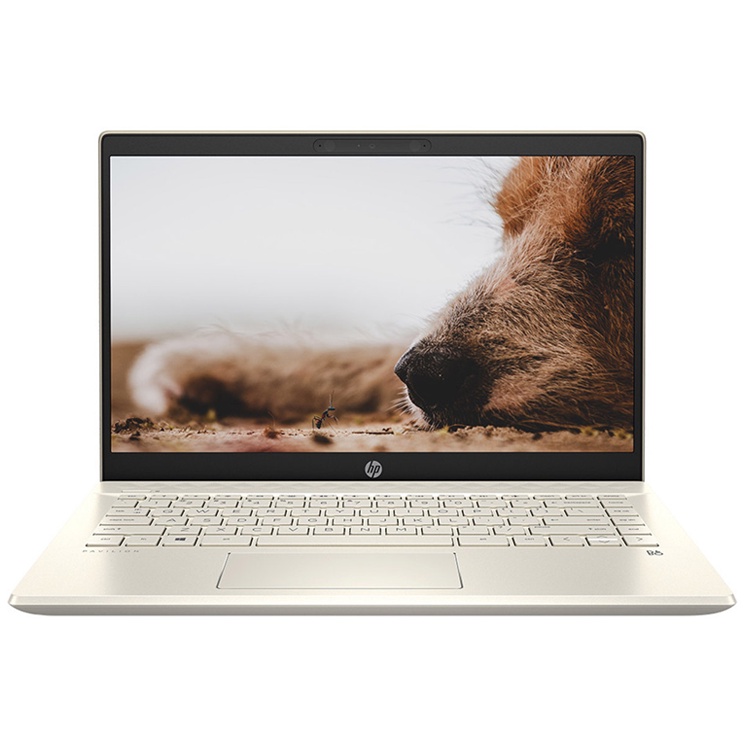 Laptop HP Pavilion 14-dv0534TU 4P5G3PA (Core i7-1165G7 | 8GB | 512GB | Intel Iris Xe | 14 Inch FHD | Win 10 | Warm Gold) | BigBuy360 - bigbuy360.vn