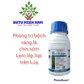 Bre tilsuper 400ec, phòng tr-ị bệnh vàng lá chín sớm, lem lép hạt trên lúa. giúp lá tươi, hạt sáng.
