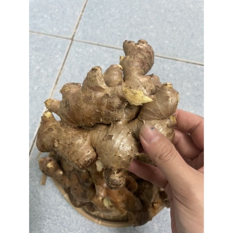 Gừng già chất lượng 500gr