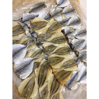 Cá chỉ vàng to dày mình - 1 con