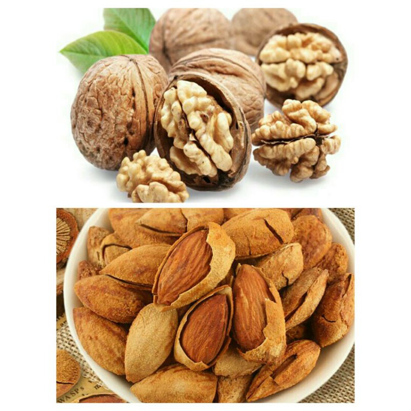Sỉ giá gốc quả óc chó - hạnh nhân 500g - 1kg