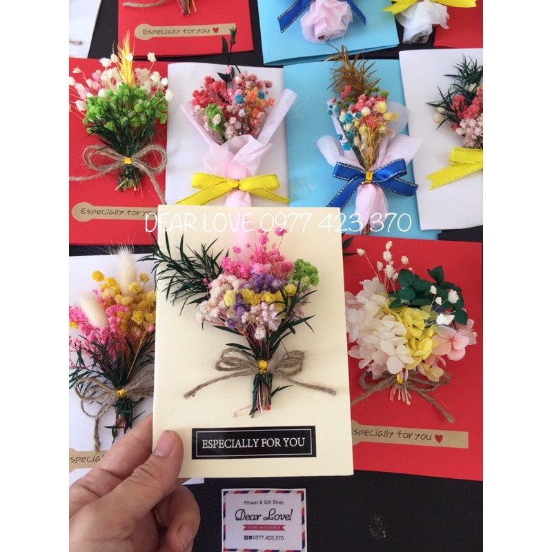 THIỆP HOA BABY KHÔ NHIỀU MÀU
