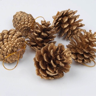 Trái thông nhũ vàng, trái thông tự nhiên - Set 10 trái thông trang trí cây thông noel-hình thật